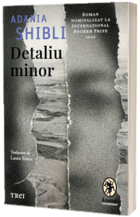 Detaliu minor