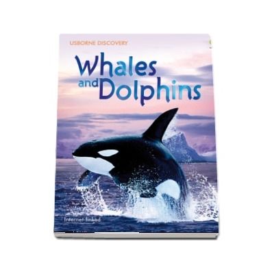 Discovery: Whales and dolphins