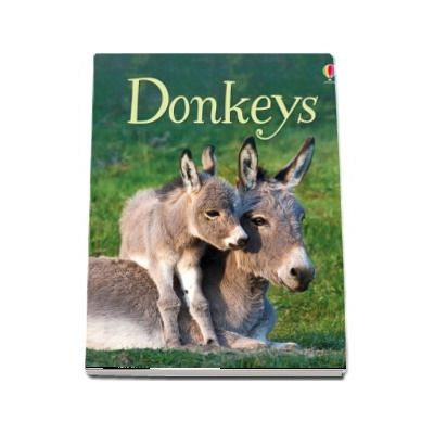 Donkeys