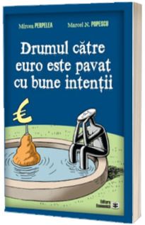 Drumul catre euro este pavat cu bune intentii