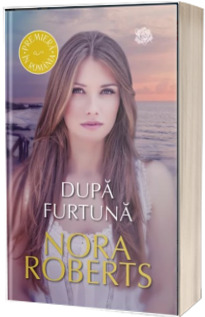 Dupa furtuna