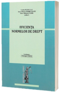 Eficienta normelor de drept