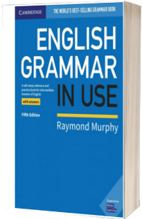 English Grammar in Use. Book with Answers