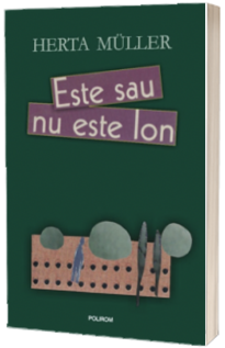 Este sau nu este Ion