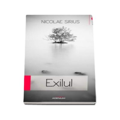 Exilul - Nicolae Sirius
