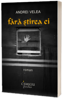 Fara stirea ei - roman