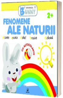 Fenomene ale naturii. Iepurasul Bunny. Cu autocolante