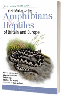 Field Guide to the amphibians and Reptiles of Britain and Europe, Paperback