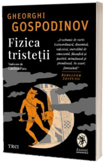 Fizica tristetii