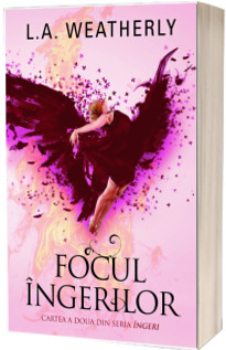 Focul ingerilor