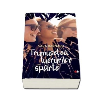 Frumusetea lucrurilor sparte