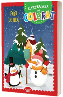 Fulg de nea. Cartea mea de colorat