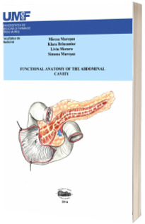 Functional anatomy of abdominal cavity