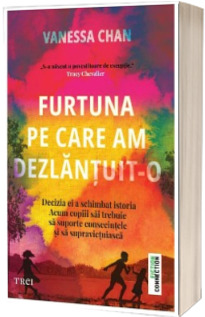 Furtuna pe care am dezlantuit-o
