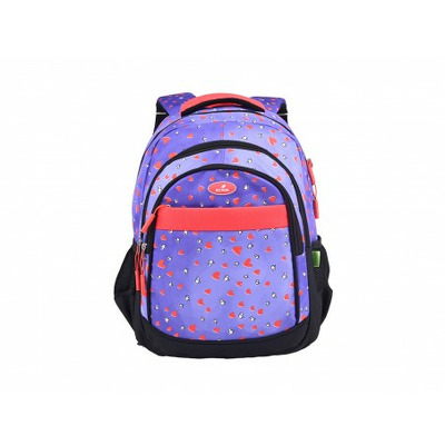 Ghiozdan pentru scolari, 46 cm ECADA 61433