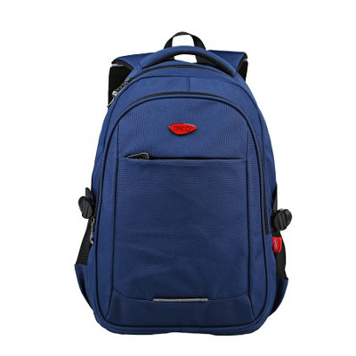 Ghiozdan adolescenti 45.5 cm, GH565