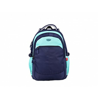 Ghiozdan pentru adolescenti, GH572 DACO 46 cm