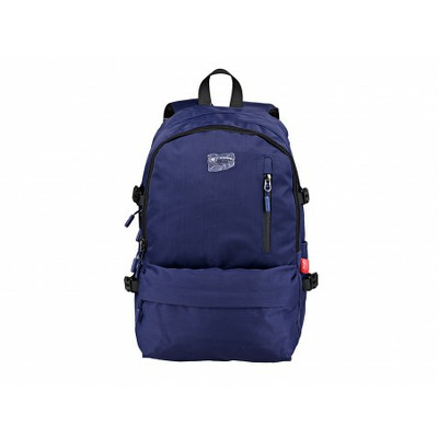 Ghiozdan elegant si spatios, GH576A DACO 46 cm