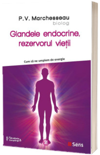 Glandele endocrine, rezervorul vietii. Cum sa ne umplem de energie