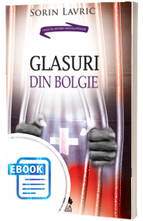 Glasuri din bolgie