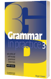 Grammar in Practice 3