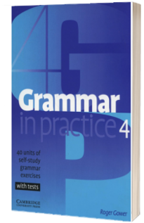 Grammar in Practice 4