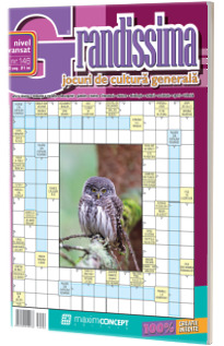 Grandissima nr. 146