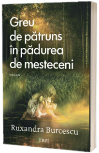 Greu de patruns in padurea de mesteceni