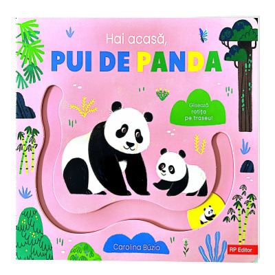 Hai acasa, pui de Panda!