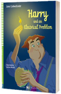 Harry and an Electrical Problem with audio downloadable multimedia contents