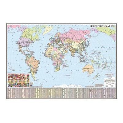 Harta politica a lumii. Harta de contur, 600x470 mm, fara sipci