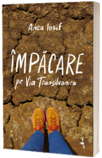 Impacare pe Via Transilvanica