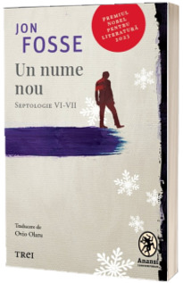 In asteptarea raspunsului tau. Septologie VI-VII