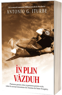 In plin vazduh