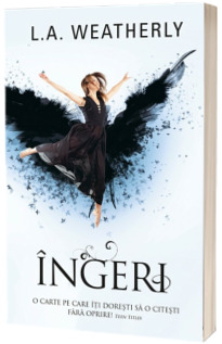 Ingeri