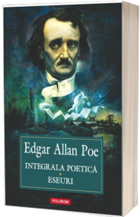 Integrala poetica. Eseuri