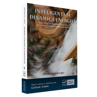 Inteligenta si dinamica energiei