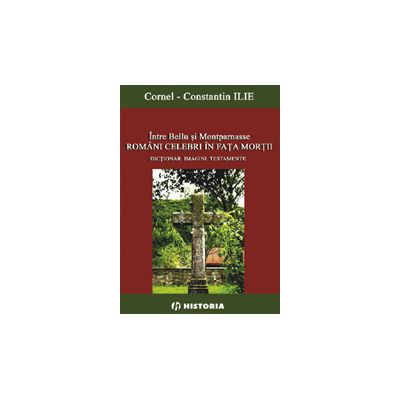 Intre Bellu si Montparnasse