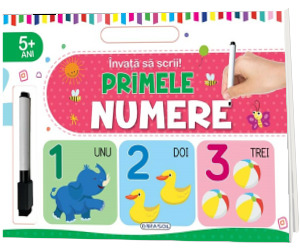 Invata sa scrii! Primele numere