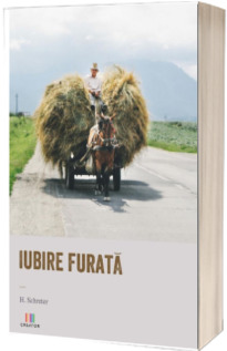 Iubire furata