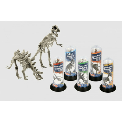 Joc educativ paleontologie, schelet de dinozaur 3D, diverse modele