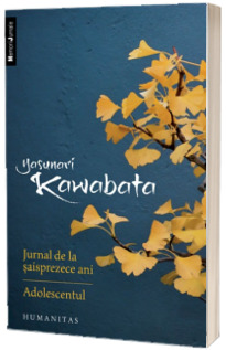 Jurnal de la saisprezece ani