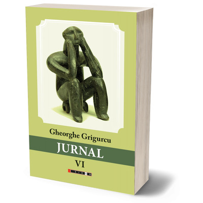 Jurnal VI