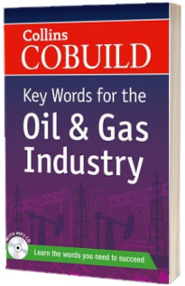 Key Words for the Oil and Gas Industry : B1