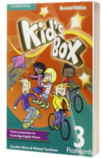 Kids Box Level 3 Flashcards
