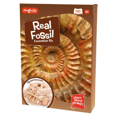 Kit paleontologie. Descopera fosile