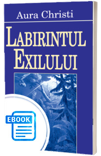 Labirintul exilului