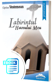 Labirintul haosului meu