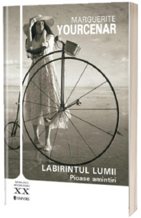 Labirintul lumii. Pioase amintiri