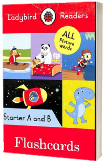 Ladybird Readers Starter Level Flashcards